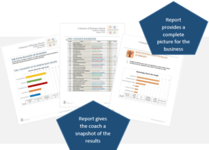Assessment-Report-Info-2
